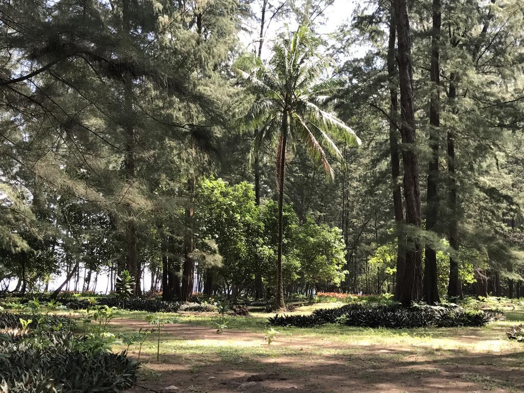 Coconut Bungalow Nai Yang Екстер'єр фото